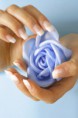 /album/galeria%20de%20fotos%3a%20forma%c3%a7%c3%b5es%20e%20servi%c3%a7os/fotolia-12285449-m-jpg/